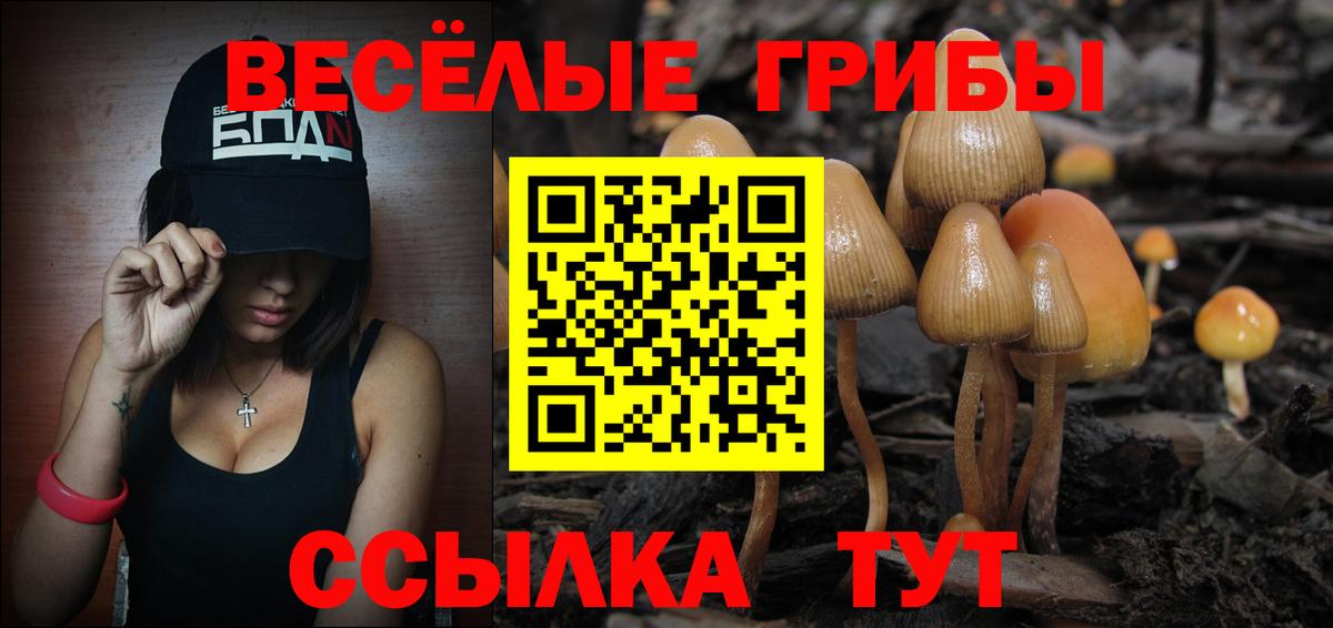 ГАШ  MDMA  Вход с VPN  ГАШИШ  Где продают наркотики?  Знаменск  МАРИХУАНА  Мефедрон кристаллы 