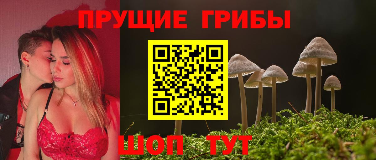 Псилоцибиновые грибы GOLDEN TEACHER Знаменск